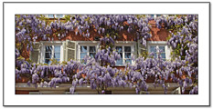 Tübingen Panorama-Postkarte